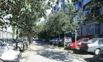 街头条,探寻城市生活百态